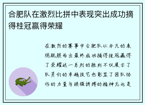 合肥队在激烈比拼中表现突出成功摘得桂冠赢得荣耀